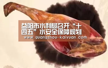益阳市水利局召开“十四五”水安全保障规划座谈会|开元体育直播(图1) 开元体育app官方下载