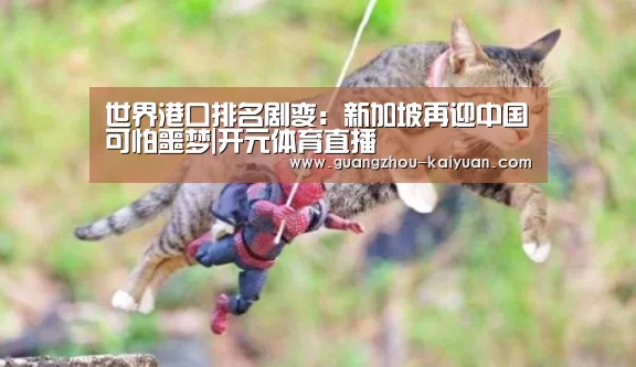 开元体育app官方下载
